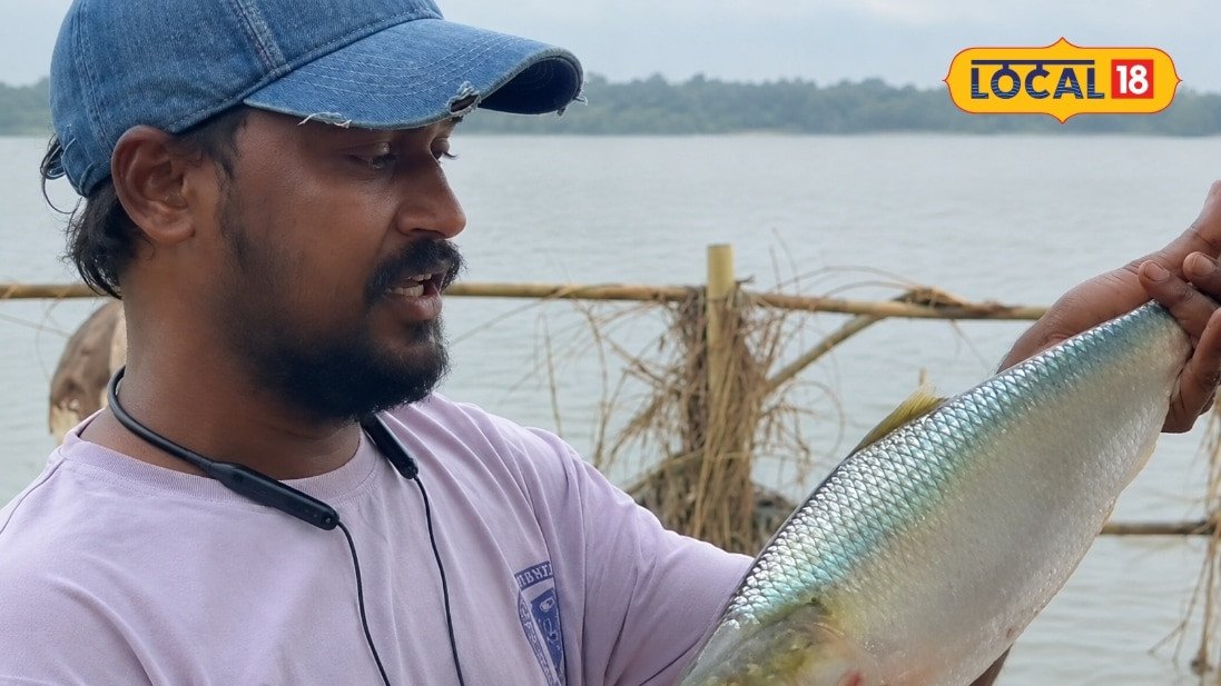 Pulasa Fish: ఒక్క చేప ధర రూ.26 వేలు.. చూసేందుకు ఎగబడిన జనం