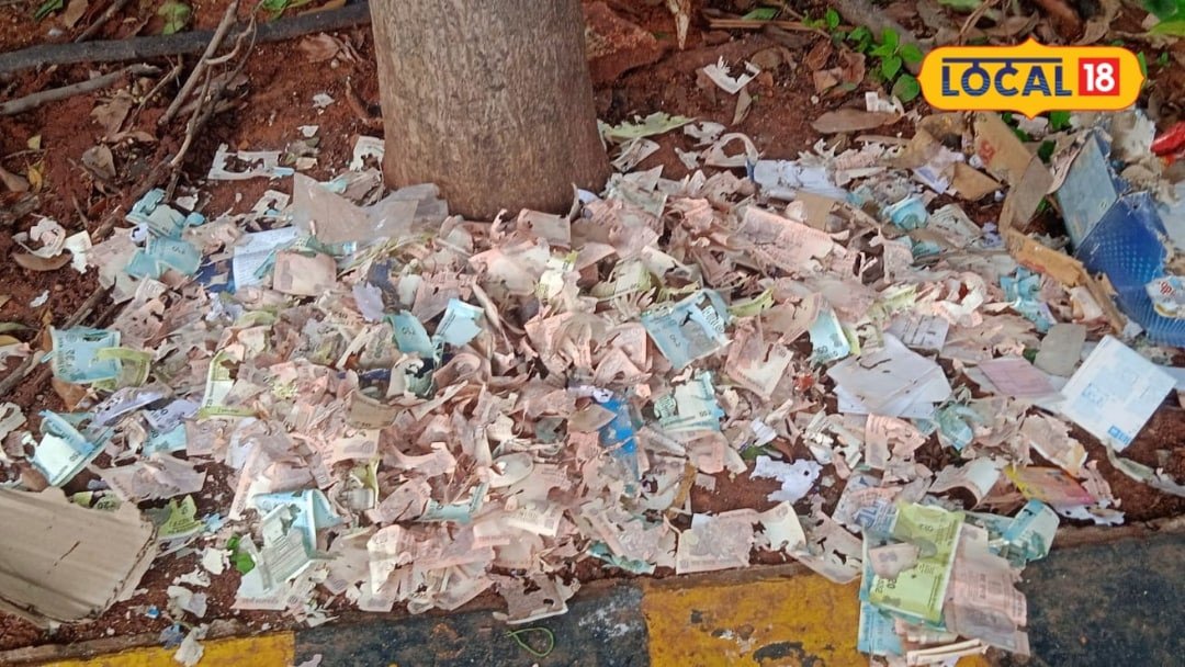 Currency Notes: ఎలుకలు కొట్టాయా, మనుషులు చింపారా.. విశాఖలో నడి రోడ్డుపై కుప్పగా పడేసిన నోట్ల కట్టలు.. అసలు ఏం జరిగింది