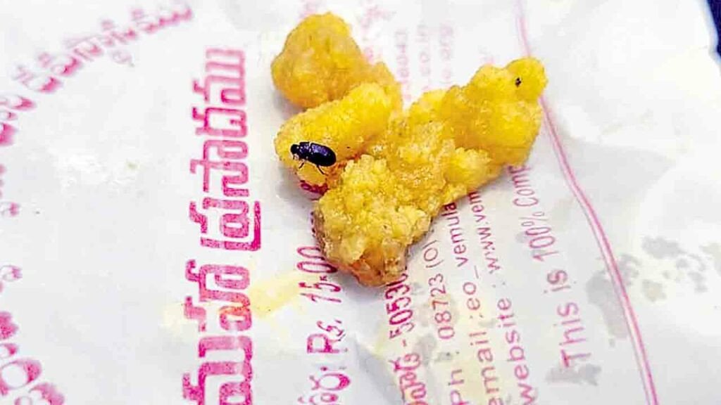 Vemulawada Laddu | వేములవాడ లడ్డూ ప్రసాదంలో పురుగు