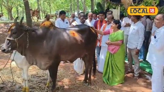 Gomata Puja: శ్రీకృష్ణ జయంతి వేళ గోమాతకు ప్రత్యేక పూజ.. గోపాలుడి నామస్మరణతో మార్మోగిన గోశాల..!