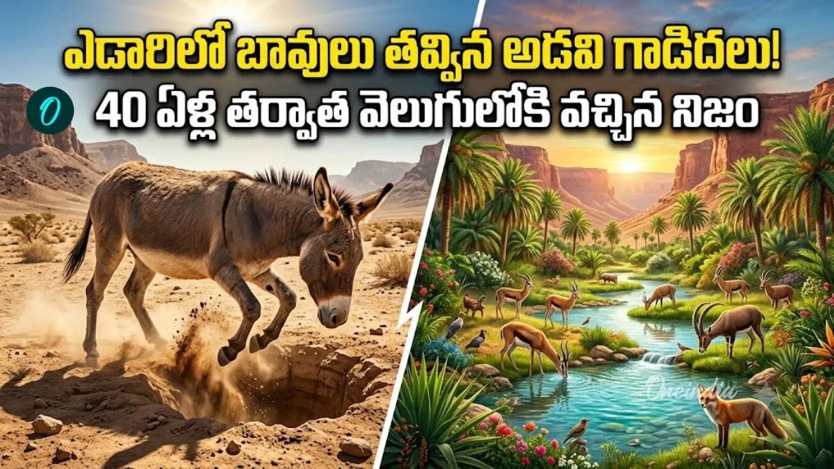 28 గాడిదలు కథ:  మారిపోయిన దేశ భవితవ్యం! ఎడారిలో మహా అద్భుతం