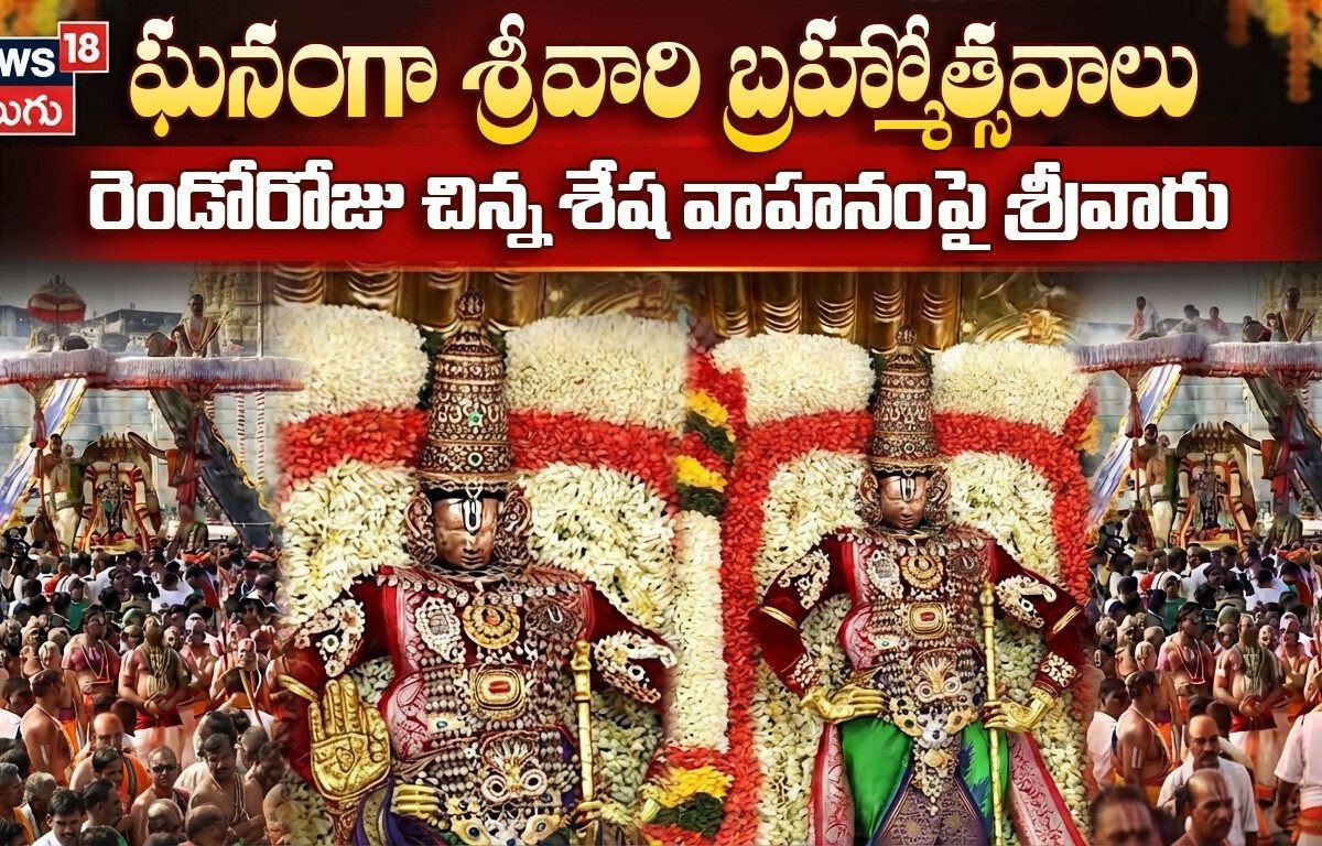 ఘనంగా శ్రీవారి బ్రహ్మోత్సవాలు రెండో రోజు చిన్న శేష వాహనపై శ్రీవారు