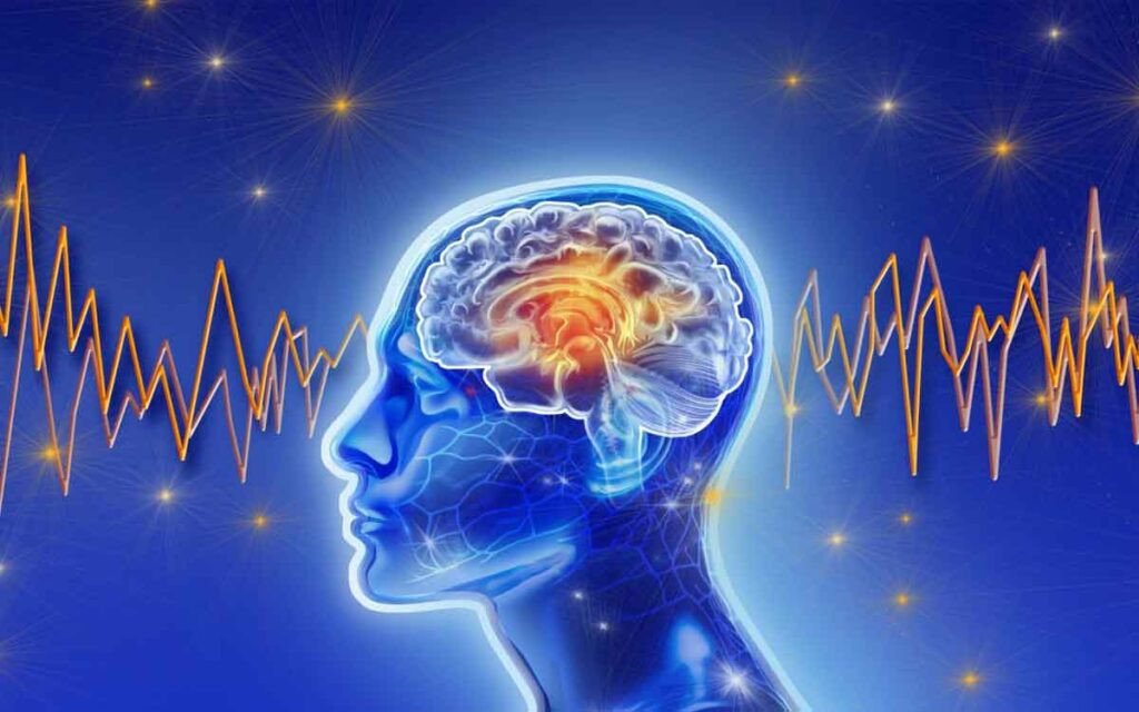 Brain Activity | ప్ర‌మాదం క‌లిగించే నిర్ణ‌యం తీసుకునే ముందు మెదడులో ఏం జ‌రుగుతుంది.. అధ్య‌య‌నాల్లో ఏం తేలింది..