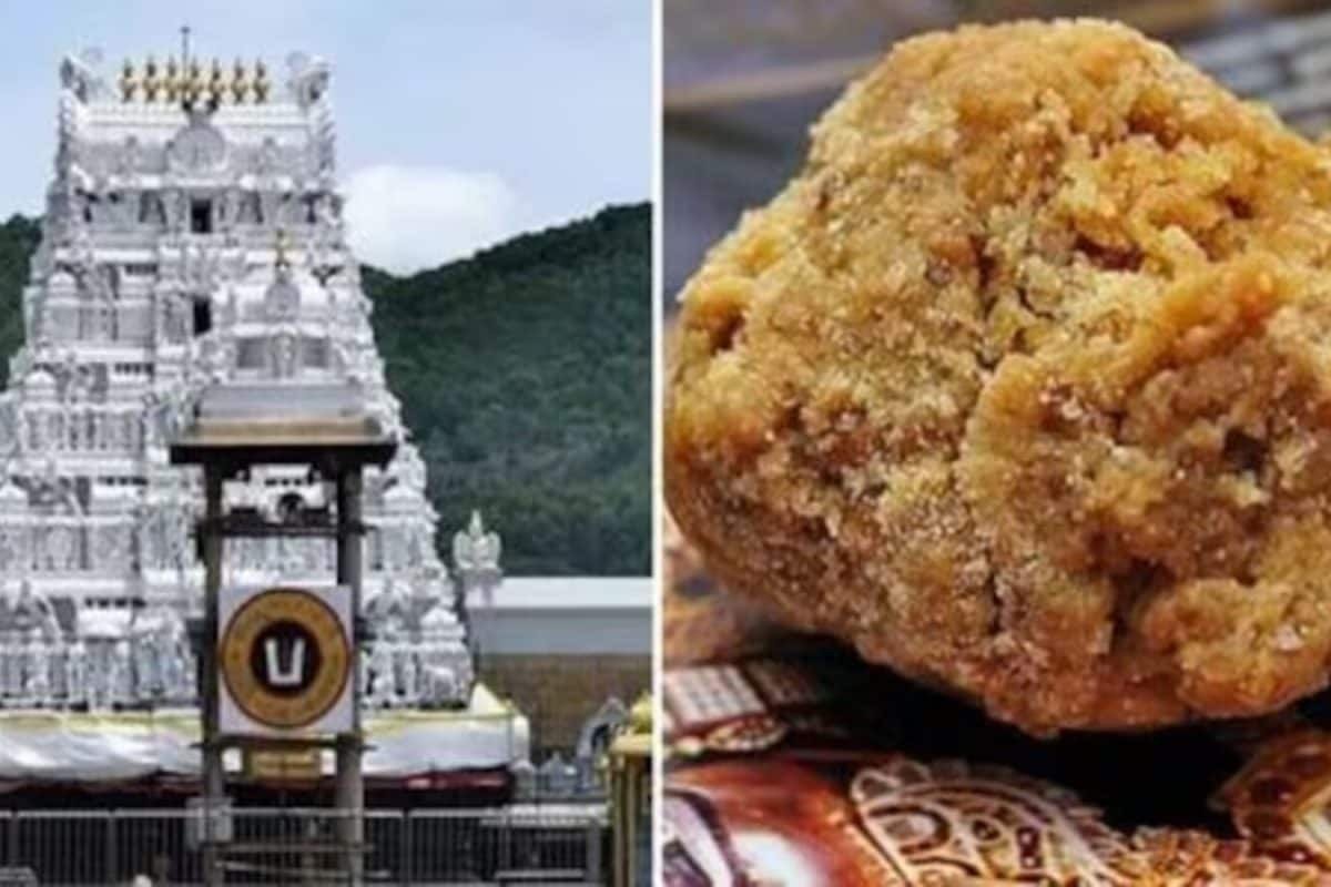 తిరుపతి లడ్డూని ఎలా తయారు చేస్తారో తెలుసా? అందులో ఏఏ ఆహార పదార్థాలు కలుపుతారంటే..