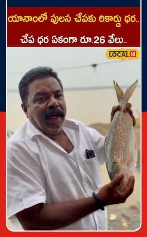 Pulasa Fish Fetches Record Auction Price | యానాంలో పులస చేపకు రికార్డు ధర..!