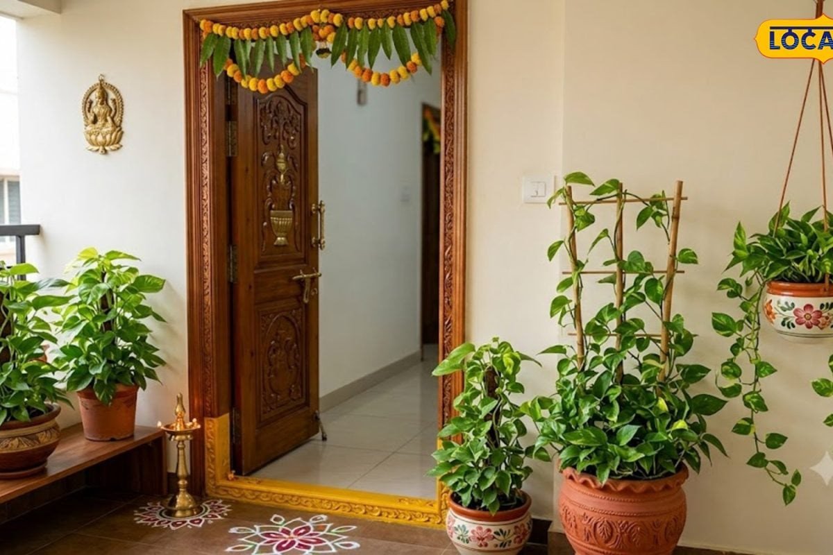 Money Plant: ఇంట్లో మనీ ప్లాంట్ పెంచితే సరిపోదు.. గుమ్మం దగ్గర ఎన్ని ఉండాలో తెలిస్తే షాకవుతారు..!