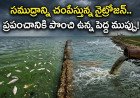 సముద్రాన్ని ముంచెత్తుతున్న ‘నైట్రోజన్’ విషవలయం..