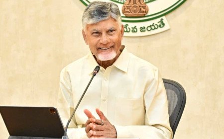 ఏపీ ఉద్యోగులకు గుడ్ న్యూస్.. అక్టోబర్ నుంచి రెండు డీఏలు.. సీఎం చంద్రబాబు కీలక నిర్ణయం