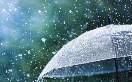 Southwest Monsoon | రేపటి నుంచి నైరుతి నిష్క్రమణ.. త్వరలోనే ఈశాన్య రుతుపవనాల రాక