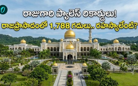 సుల్తాన్ కా ఇస్తానా నూరుల్ ఈమాన్ : రాచరిక వైభవం చూసి నివ్వెరపోవాల్సిందే