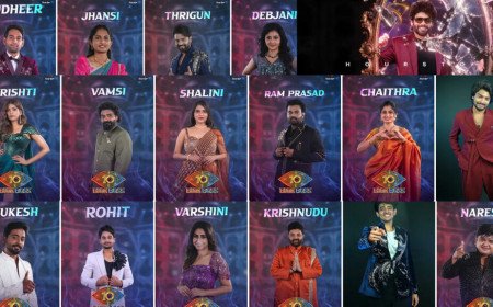 Bigg Boss 10  | బిగ్‌బాస్ తెలుగు 10 గ్రాండ్ లాంచ్‌.. హౌస్‌లోకి అడుగుపెట్టిన 16 మంది వీళ్లే!