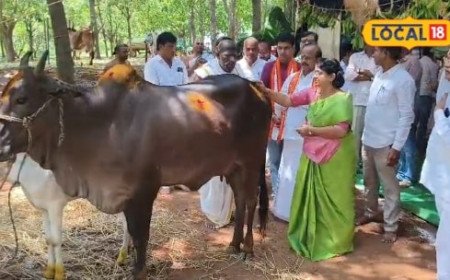 Gomata Puja: శ్రీకృష్ణ జయంతి వేళ గోమాతకు ప్రత్యేక పూజ.. గోపాలుడి నామస్మరణతో మార్మోగిన గోశాల..!