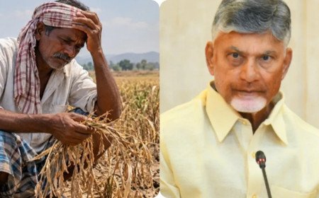 El Nino: ఏపీకి పెరుగుతున్న ముప్పు..! చంద్రబాబు కీలక ఆదేశాలు..!