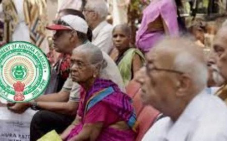 ఏపీలో కొత్త పెన్షన్ల ప్రక్రియ ప్రారంభం.. ! ప్రాసెస్, దరఖాస్తులు ఇలా..!