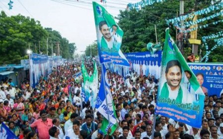 స్థానిక ఎన్నికలు సమీపిస్తోన్న వేళ.. వైసీపీ కీలక డిమాండ్