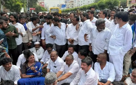 దేవినేని అవినాష్, తలశిల రఘురామ్ సహా 51 మందిపై రౌడీషీట్లు..!?