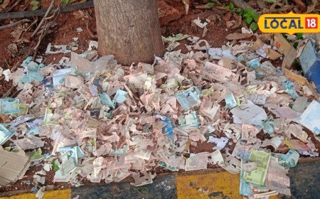 Currency Notes: ఎలుకలు కొట్టాయా, మనుషులు చింపారా.. విశాఖలో నడి రోడ్డుపై కుప్పగా పడేసిన నోట్ల కట్టలు.. అసలు ఏం జరిగింది