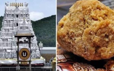 తిరుపతి లడ్డూని ఎలా తయారు చేస్తారో తెలుసా? అందులో ఏఏ ఆహార పదార్థాలు కలుపుతారంటే..