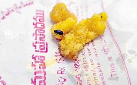 Vemulawada Laddu | వేములవాడ లడ్డూ ప్రసాదంలో పురుగు