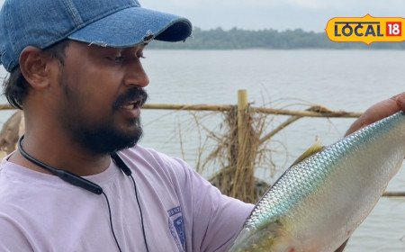 Pulasa Fish: ఒక్క చేప ధర రూ.26 వేలు.. చూసేందుకు ఎగబడిన జనం