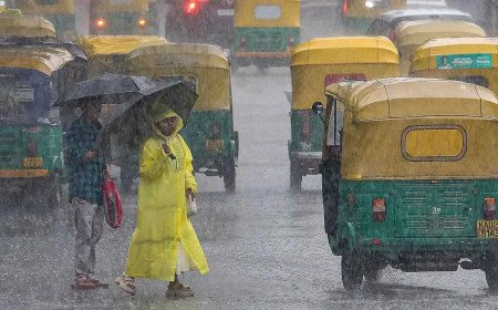 బెంగళూరులో అతిభారీ వర్షం- రోడ్లు జలమయం: విరిగిపడ్డ చెట్లు
