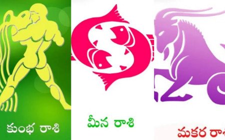 మకర రాశి, కుంభ రాశి, మీన రాశి 2026 సెప్టెంబరు నెల సమగ్ర జాతక ఫలం