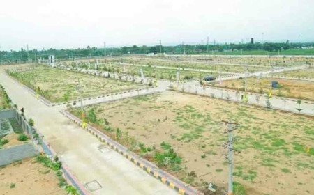 GP Layout | జీపీ లేఅవుట్ల నిషేధంతో మరో సంక్షోభం.. లక్షల ప్లాట్ల క్రయ విక్రయాలపై నిషేధం