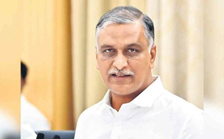 Harish Rao | నంది ఎవరో, పంది ఎవరో ప్రజలకు తెలుసు.. రేవంత్ రెడ్డి వ్యాఖ్యలపై హరీశ్‌రావు ఫైర్