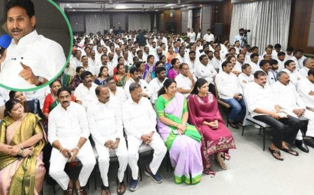 YS Jagan: కూటమి పాలనలో నీటి కరువు, భూకబ్జాలు.. వైసీపీ హయాంలోనే ఉత్తరాంధ్ర అభివృద్ది జరిగిందన్న జగన్