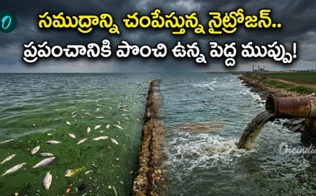 సముద్రాన్ని ముంచెత్తుతున్న ‘నైట్రోజన్’ విషవలయం..