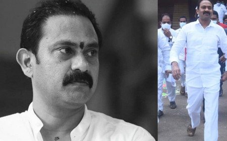 Alla Nani Death: ఏపీ మాజీ డిప్యూటీ సీఎం కన్నుమూత.. దిగ్భ్రాంతిలో టీడీపీ శ్రేణులు