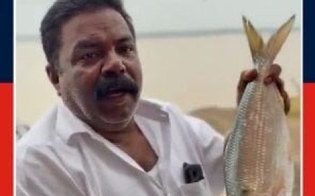 Pulasa Fish Fetches Record Auction Price | యానాంలో పులస చేపకు రికార్డు ధర..!