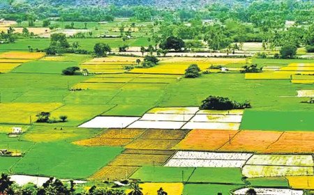 Section 22A | నో ఆబ్జెక్షన్‌ ఉన్నా నో రిజిస్ట్రేషన్‌.. 22ఏ ఉచ్చులో పడి సామాన్యుడు విలవిల!