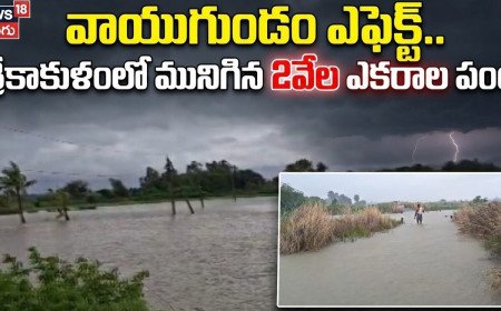వాయుగుండం ఎఫెక్ట్..  శ్రీకాకుళంలో మునిగిన 2వేల ఎకరాల పంట