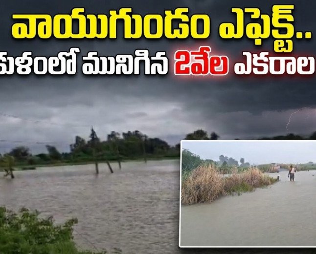 వాయుగుండం ఎఫెక్ట్..  శ్రీకాకుళంలో మునిగిన 2వేల ఎకరాల పంట