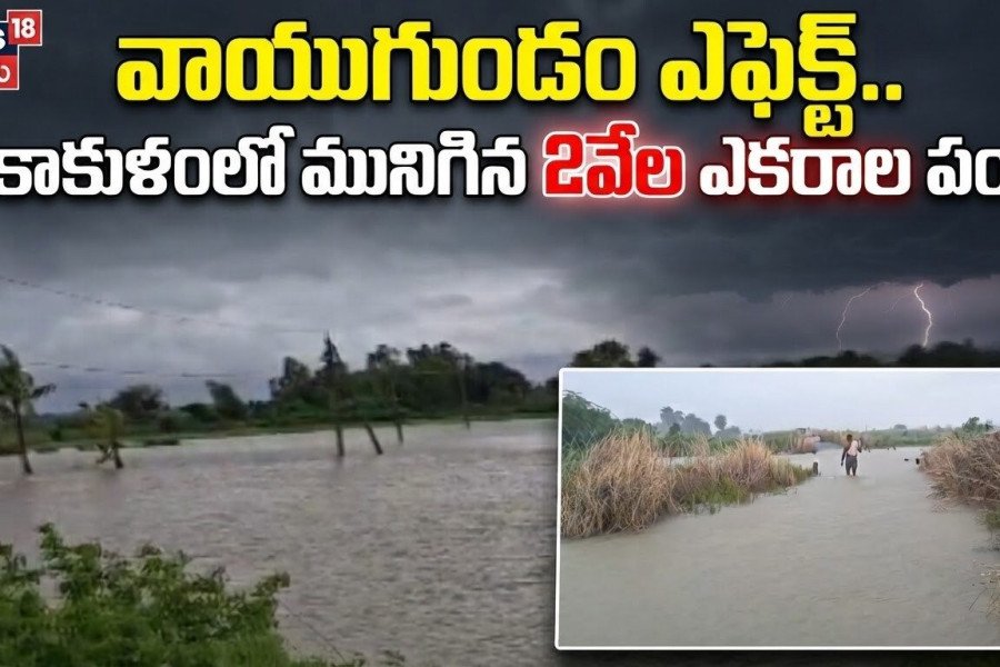 వాయుగుండం ఎఫెక్ట్..  శ్రీకాకుళంలో మునిగిన 2వేల ఎకరాల పంట