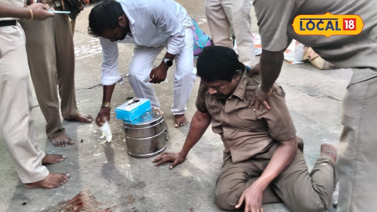 Elephant attack: తిరుచానూరులో ఏనుగు హల్‌చల్.. మావటిపై దాడి.. పరిస్థితి విషమం.. అసలేం జరిగిందంటే..!