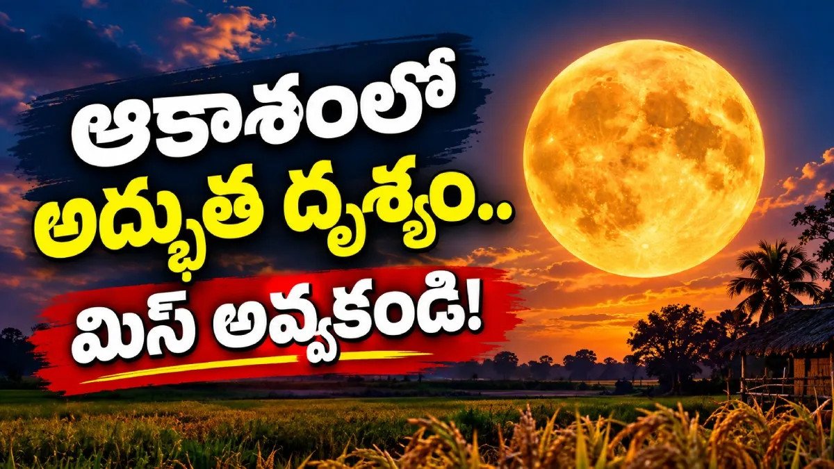 Harvest Moon 2026: ఈ వీకెండ్‌లో ఆకాశంలో అద్భుతం.. ప్రత్యేకతలు ఇవే!