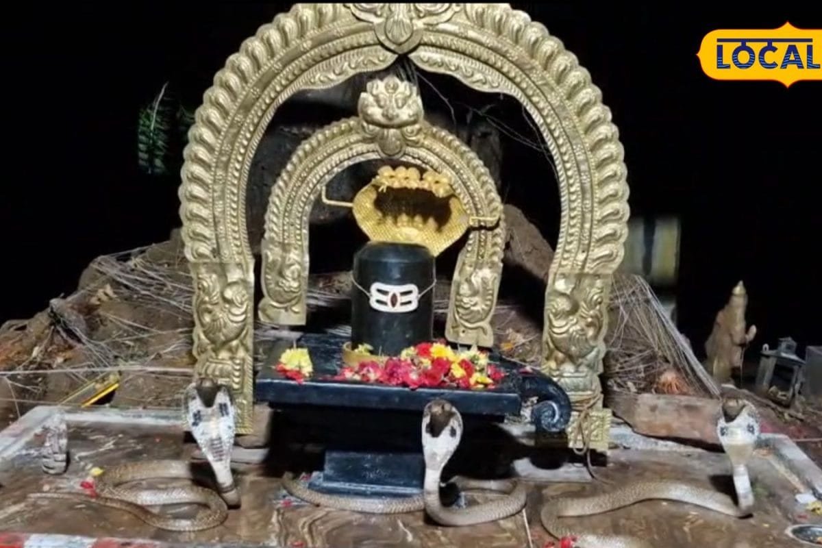 గుడిలో అద్భుతం.. శివలింగానికి పూజలు చేసిన 3 నాగుపాములు, వీడియో వైరల్!