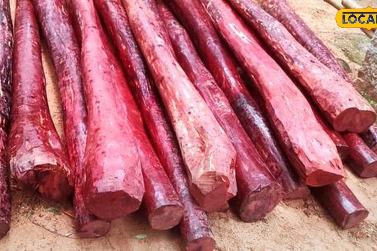 Coffee Powder: కాఫీ పొడి లోడుతో వెళ్తున్న వాహనం.. ఆపి చెక్ చేసిన పోలీసులకు దిమ్మతిరిగే ట్విస్ట్..!