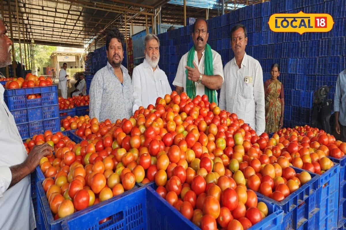 Tomato Price: ఒక్కసారిగా భారీగా పెరిగిన టమాటా ధరలు.. ఇప్పుడు కేజీ ఎంతంటే?