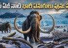 మంచు యుగం నాటి ఊల్ మమ్మూత్ మళ్లీ సాక్షాత్కారం: ఆసియన్ ఏనుగులపై ప్రయోగాలు