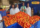 Tomato Price: ఒక్కసారిగా భారీగా పెరిగిన టమాటా ధరలు.. ఇప్పుడు కేజీ ఎంతంటే?