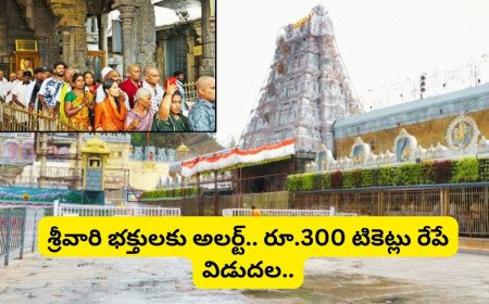 Tirumala: శ్రీవారి భక్తులకు భారీ గుడ్ న్యూస్.. రేపే ఆన్‌లైన్‌లో రూ.300 దర్శనం టికెట్లు