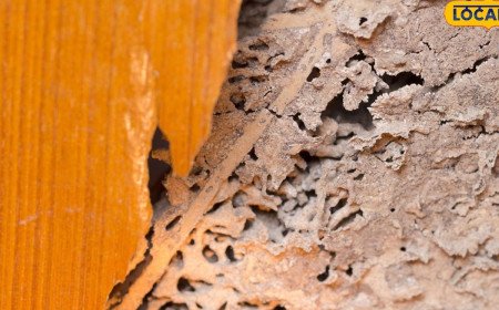 Wooden Door: మీ ఇంటి తలుపులు సురక్షితంగా ఉన్నాయా.. ఈ సంకేతాలు కనిపించాయంటే లోపల చెదలు ఉన్నట్లే..!