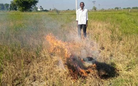Burns crop | నీళ్లు లేక కరెంట్ రాక.. సూర్యాపేట జిల్లాలో పంటను కాలబెట్టిన కౌలు రైతు