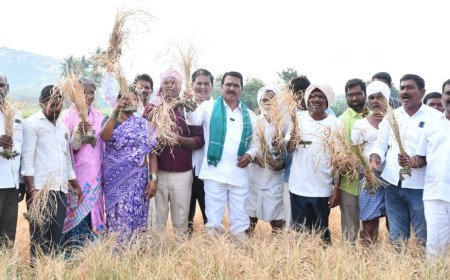 Singireddy Niranjan Reddy | రేవంత్ అసమర్థతో హరిగోస పడుతున్న రైతాంగం : మాజీ మంత్రి సింగిరెడ్డి నిరంజన్ రెడ్డి