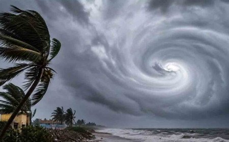 Cyclone Arnab | ‘అర్ణబ్‌’తో కోస్తాంధ్రకు వణుకు వాతావరణ శాఖ హైఅలర్ట్‌