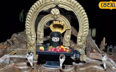 గుడిలో అద్భుతం.. శివలింగానికి పూజలు చేసిన 3 నాగుపాములు, వీడియో వైరల్!