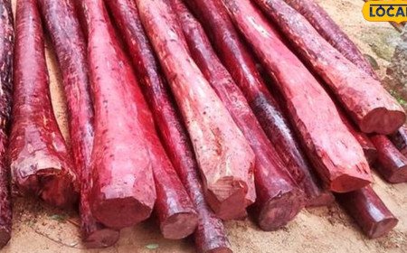 Coffee Powder: కాఫీ పొడి లోడుతో వెళ్తున్న వాహనం.. ఆపి చెక్ చేసిన పోలీసులకు దిమ్మతిరిగే ట్విస్ట్..!